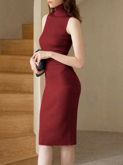 Effortlessly Chic Turtleneck Dress