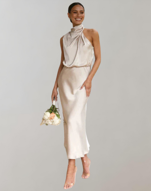 Elegant Shine Maxi Dress