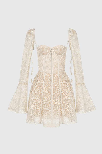 Elegant Lace Mini Statement Dress